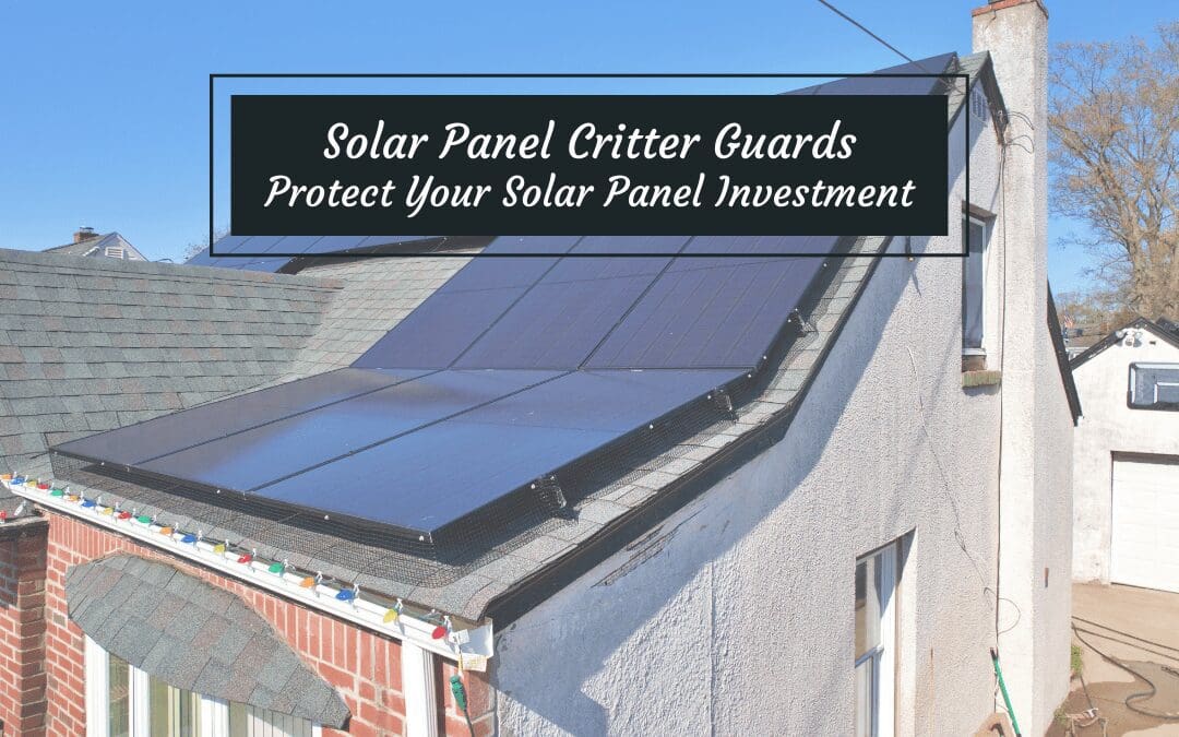 Solar Panel Critter Guards | Protect Your Solar Panel Investment!